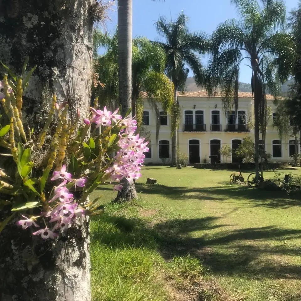 Área externa da Fazenda Neuchatel entre palmeiras imperiais